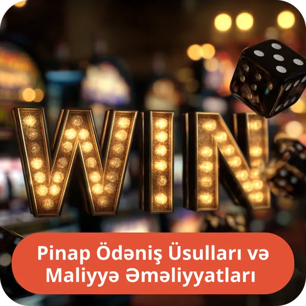 Pinap Ödəniş Üsulları və Maliyyə Əməliyyatları